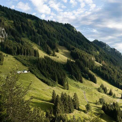 Allgäuer Berge hallowelt